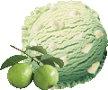 Guava